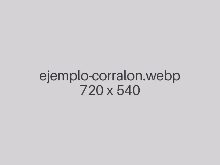 Web para corralón